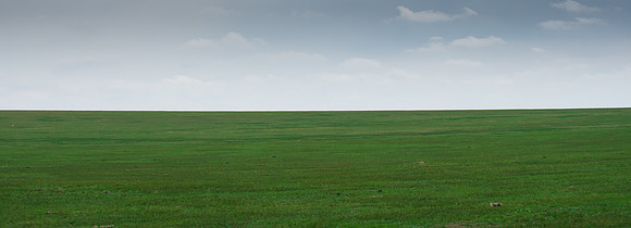The Quiet Line