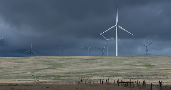 Still Wind