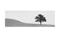 Solitude