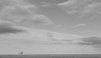 Resilience